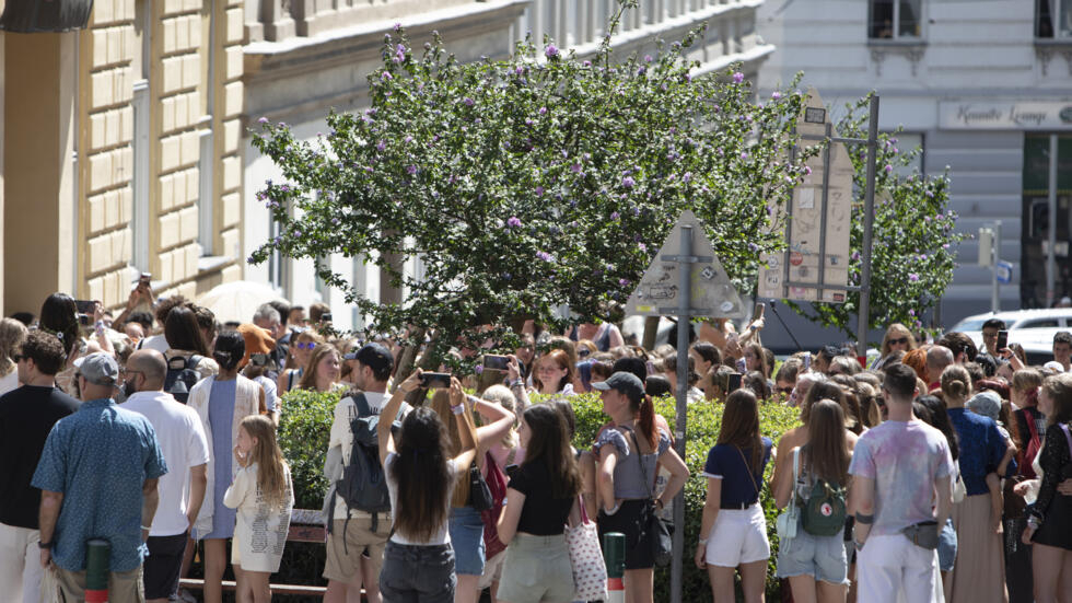 Taylor Swift fans try to lift their spirits in Vienna