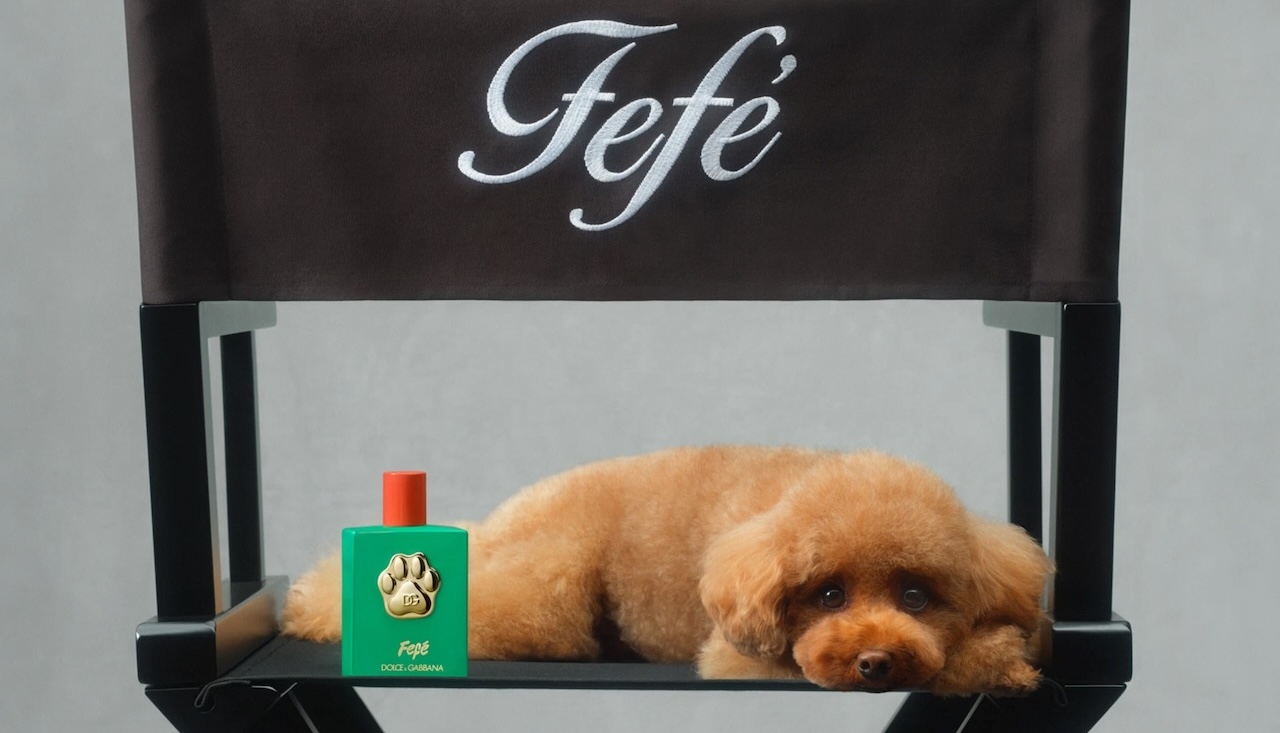 Dolce & Gabbana Launches Fefé Dog Perfume